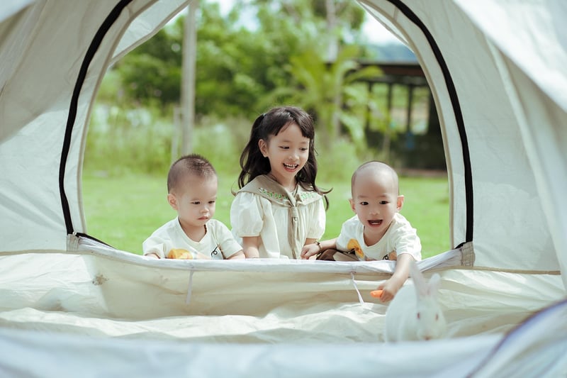 Outdoor picnics